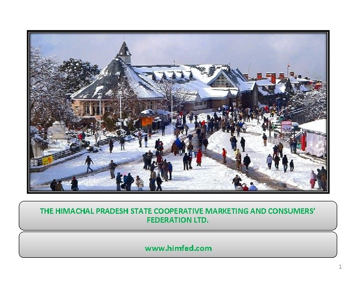 THE HIMACHAL PRADESH STATE COOPERATIVE MARKETING AND CONSUMERS’ FEDERATION LTD. www. himfed. com 1