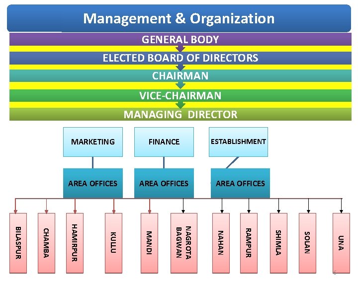 Management & Organization GENERAL BODY ELECTED BOARD OF DIRECTORS CHAIRMAN VICE-CHAIRMAN MANAGING DIRECTOR MARKETING