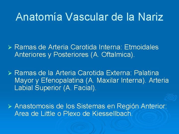 Anatomía Vascular de la Nariz Ø Ramas de Arteria Carotida Interna: Etmoidales Anteriores y