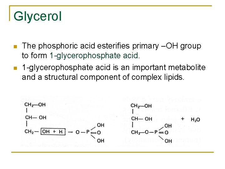 Glycerol n n The phosphoric acid esterifies primary –OH group to form 1 -glycerophosphate