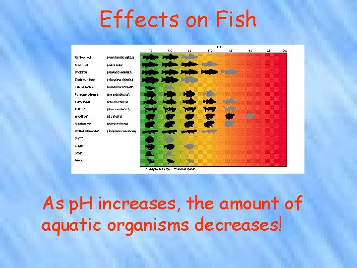 Effects on Fish As p. H increases, the amount of aquatic organisms decreases! 