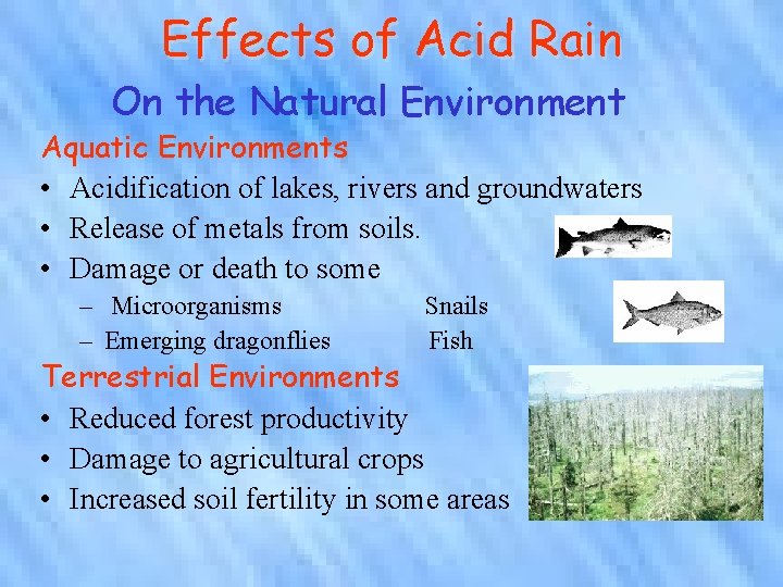 Effects of Acid Rain On the Natural Environment Aquatic Environments • Acidification of lakes,