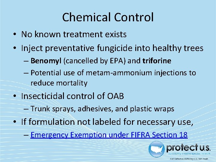 Chemical Control • No known treatment exists • Inject preventative fungicide into healthy trees