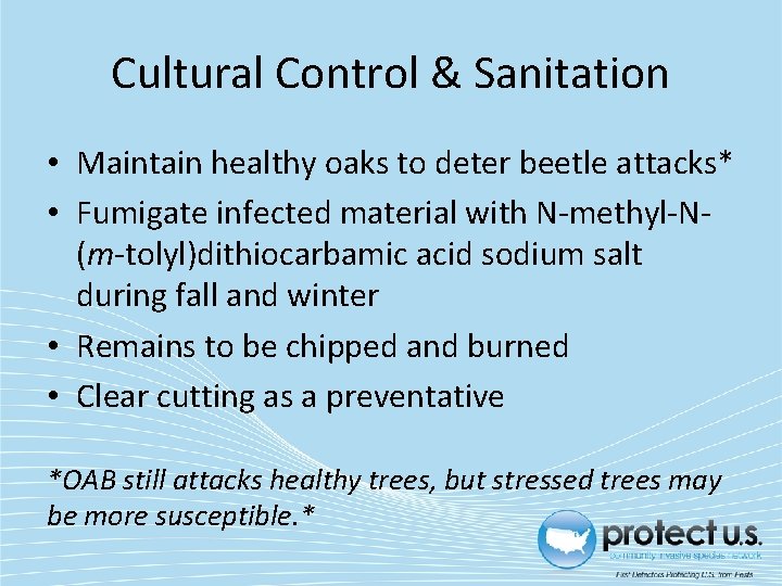 Cultural Control & Sanitation • Maintain healthy oaks to deter beetle attacks* • Fumigate