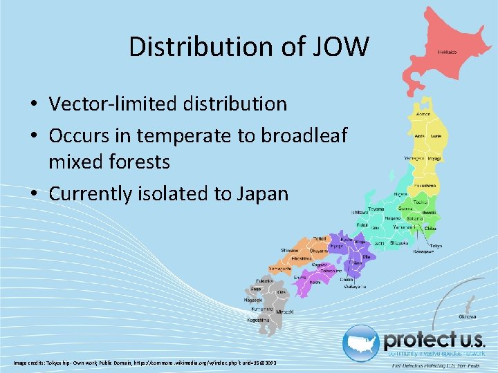 Distribution of JOW • Vector-limited distribution • Occurs in temperate to broadleaf mixed forests