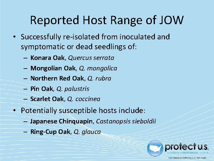 Reported Host Range of JOW • Successfully re-isolated from inoculated and symptomatic or dead
