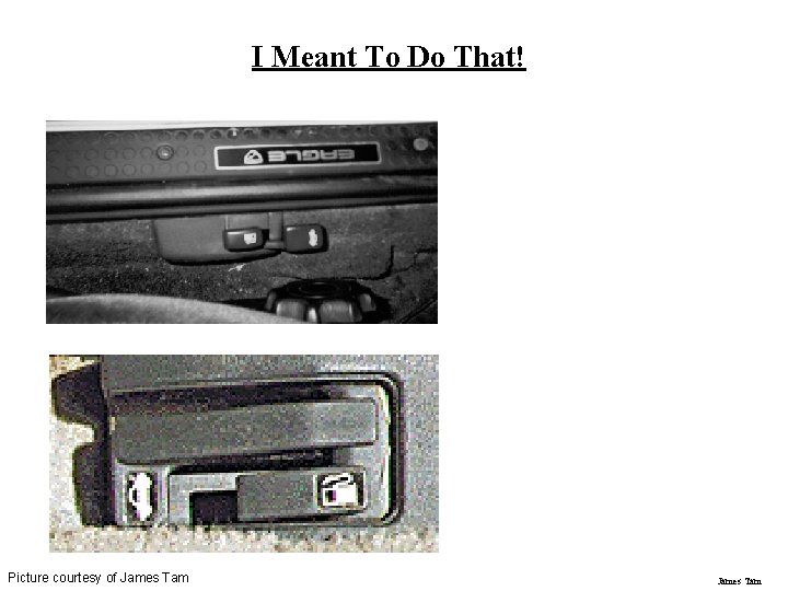 I Meant To Do That! Picture courtesy of James Tam 