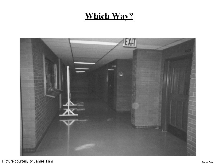 Which Way? Picture courtesy of James Tam 