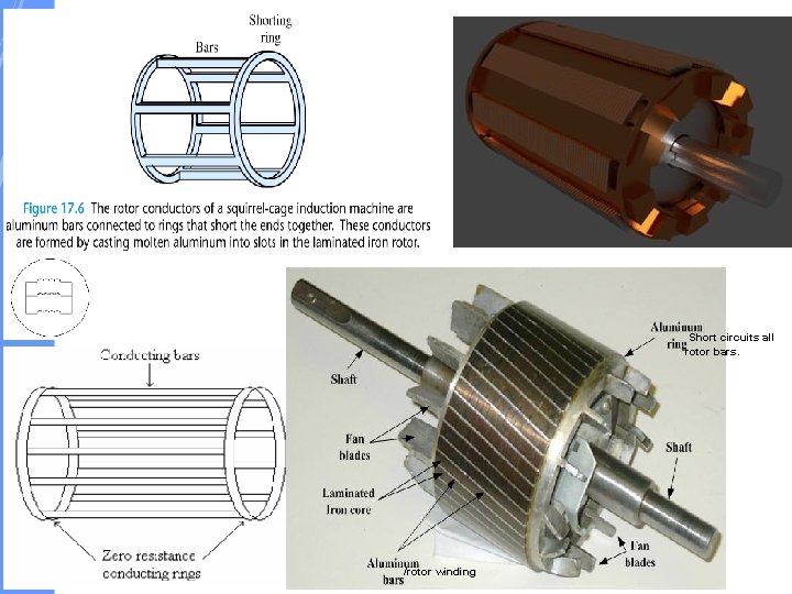 Short circuits all rotor bars. /rotor winding 