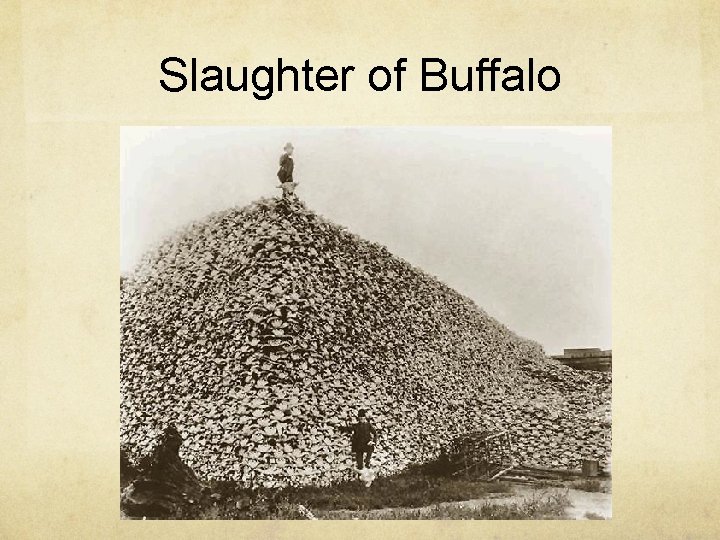 Slaughter of Buffalo 