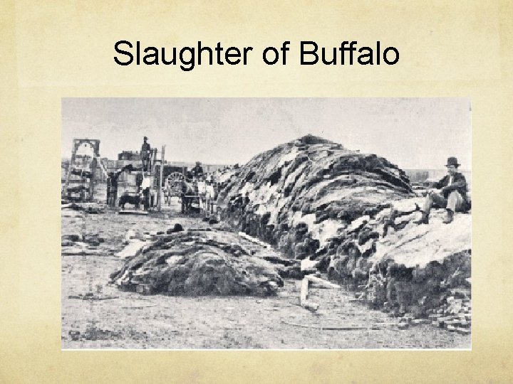 Slaughter of Buffalo 