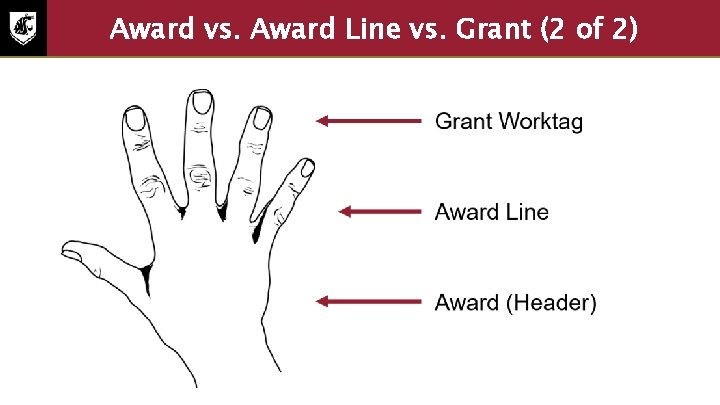 Award vs. Award Line vs. Grant (2 of 2) Representation of the Awards, Award