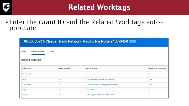 Related Worktags • Enter the Grant ID and the Related Worktags autopopulate 