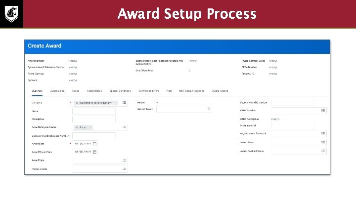 Award Setup Process • Screenshot of Award Set up process 