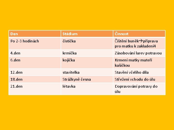 Den Stádium Činnost Po 2 -3 hodinách čistička Čištění buněk příprava pro matku k