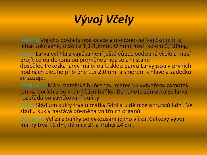 Vývoj Včely • Vajíčko: Vajíčko pokládá matka včely medonosné. Vajíčko je bílé, lehce zakřivené,