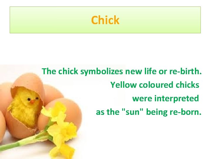 Chick The chick symbolizes new life or re-birth. Yellow coloured chicks were interpreted as