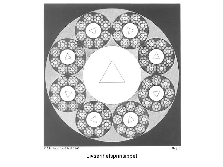 Livsenhetsprinsippet 