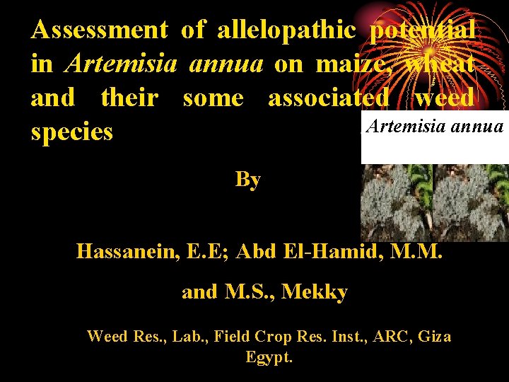 Assessment of allelopathic potential in Artemisia annua on maize, wheat and their some associated