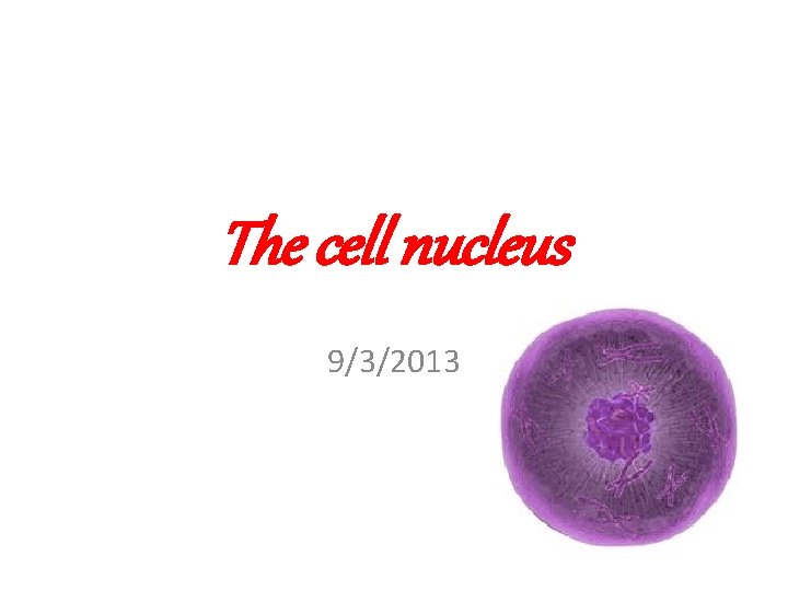 The cell nucleus 9/3/2013 