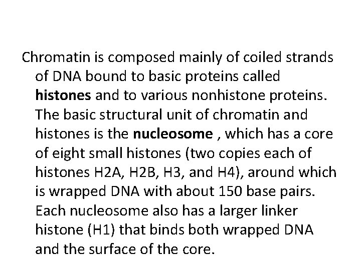 Chromatin is composed mainly of coiled strands of DNA bound to basic proteins called