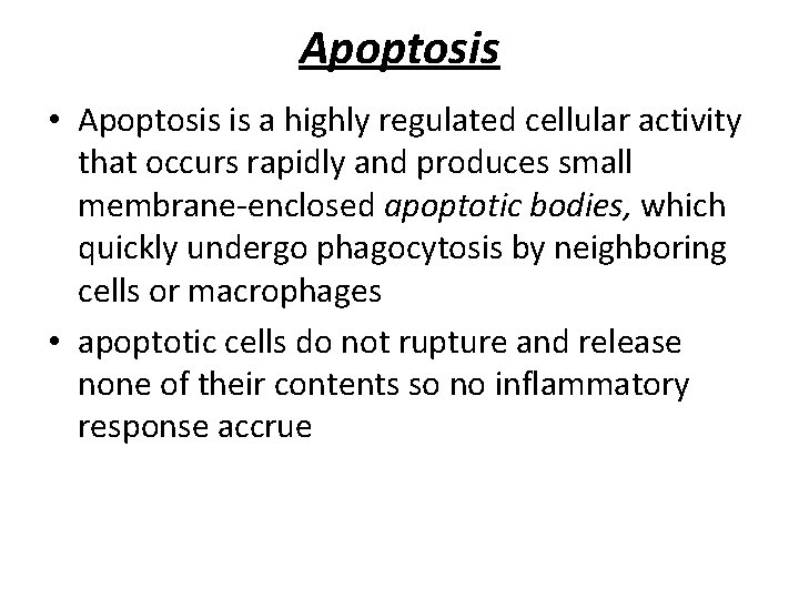 Apoptosis • Apoptosis is a highly regulated cellular activity that occurs rapidly and produces