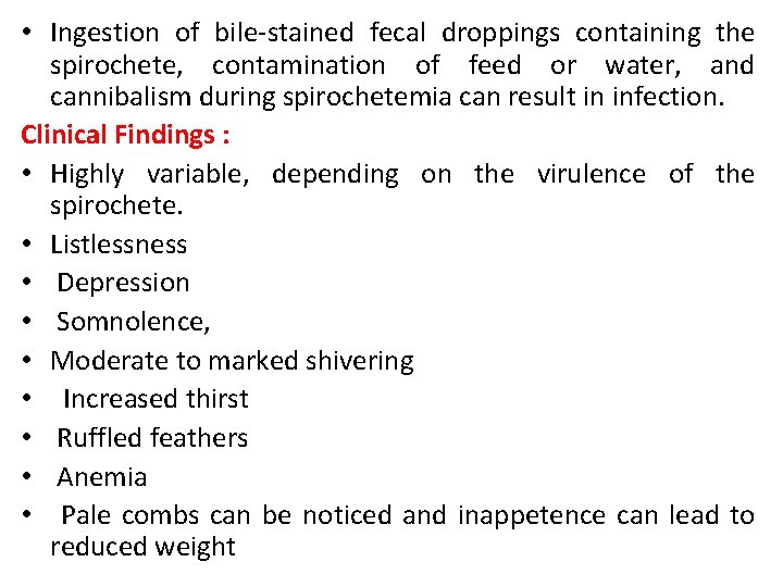  • Ingestion of bile-stained fecal droppings containing the spirochete, contamination of feed or