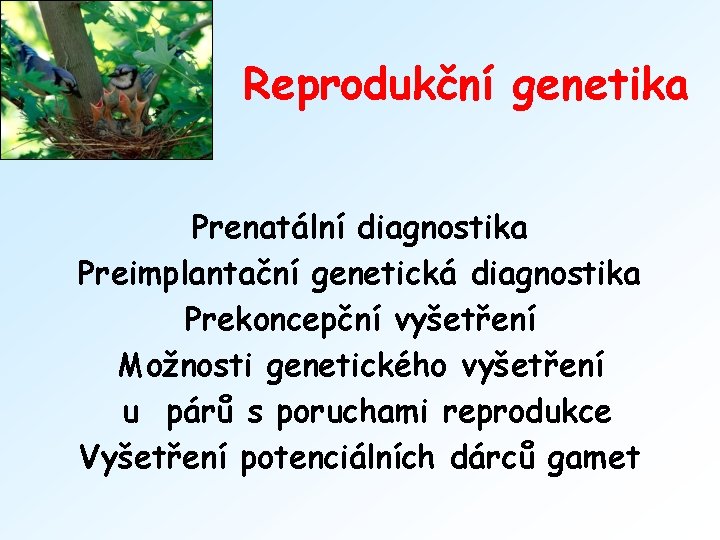 Reprodukční genetika Prenatální diagnostika Preimplantační genetická diagnostika Prekoncepční vyšetření Možnosti genetického vyšetření u párů