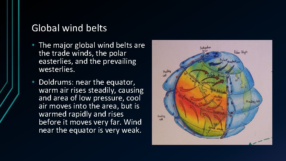 Global wind belts • The major global wind belts are the trade winds, the