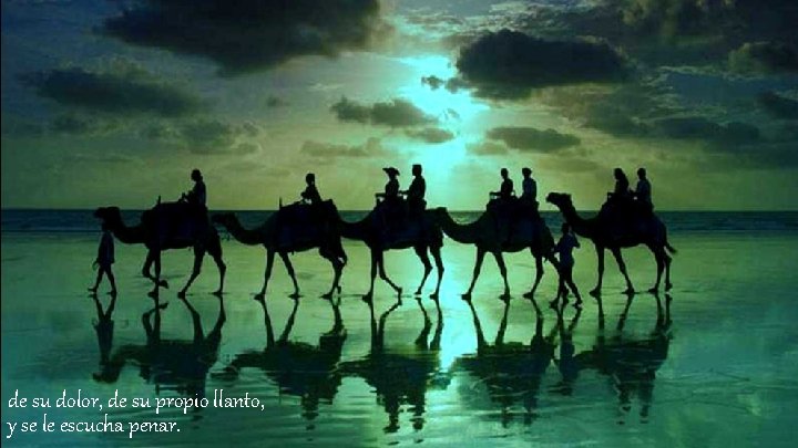de su dolor, de su propio llanto, y se le escucha penar. 