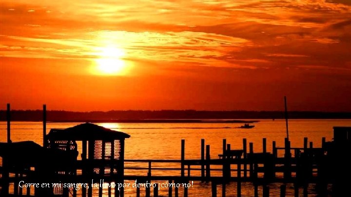 Corre en mi sangre, la llevo por dentro ¡cómo no! 