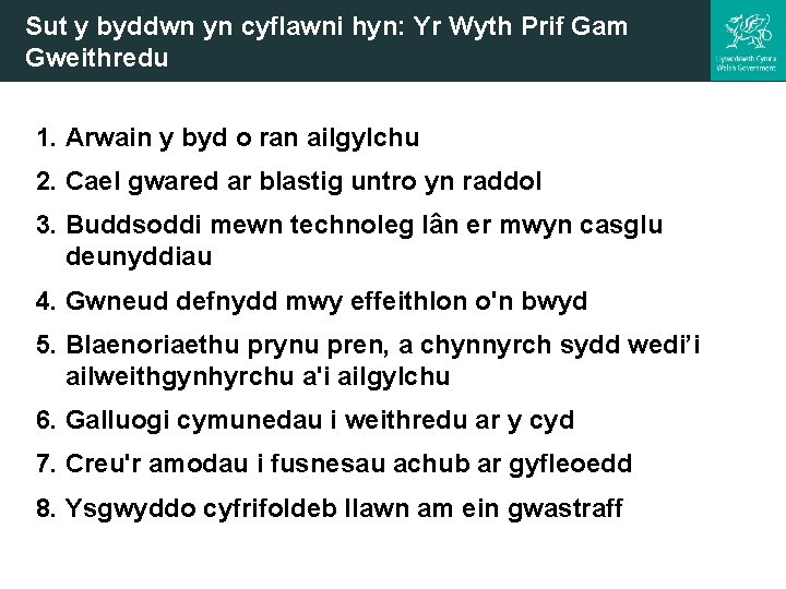 Sut y byddwn yn cyflawni hyn: Yr Wyth Prif Gam Gweithredu 1. Arwain y