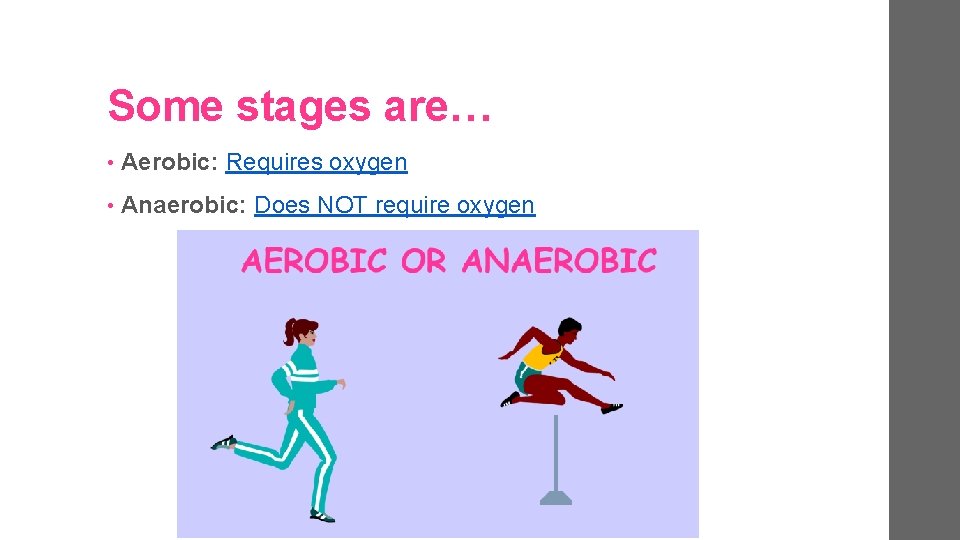 Some stages are… • Aerobic: Requires oxygen • Anaerobic: Does NOT require oxygen 