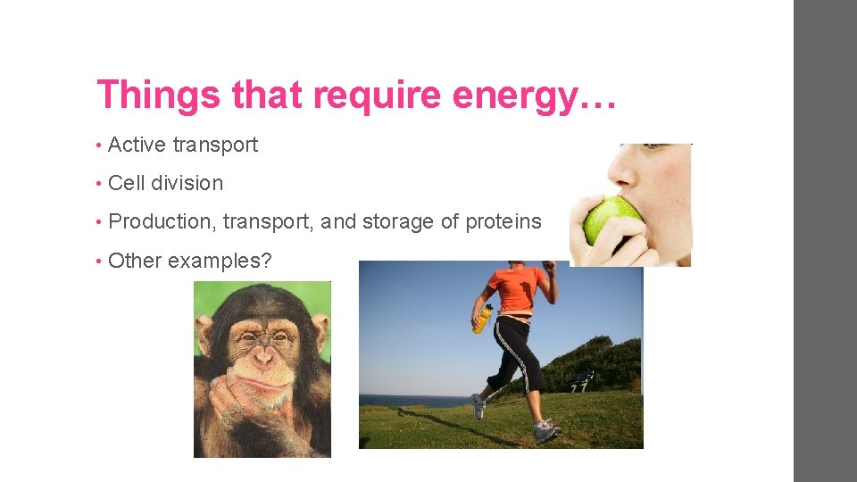 Things that require energy… • Active transport • Cell division • Production, transport, and
