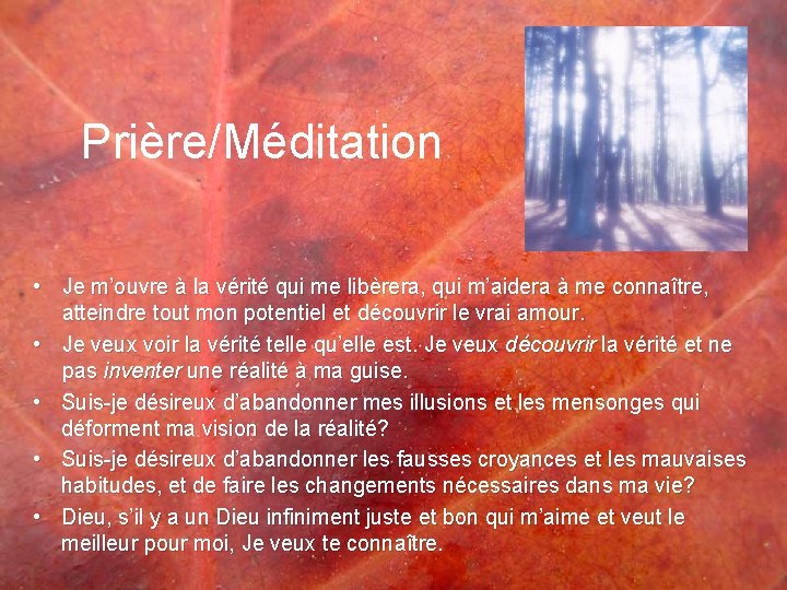 Prière/Méditation • Je m’ouvre à la vérité qui me libèrera, qui m’aidera à me