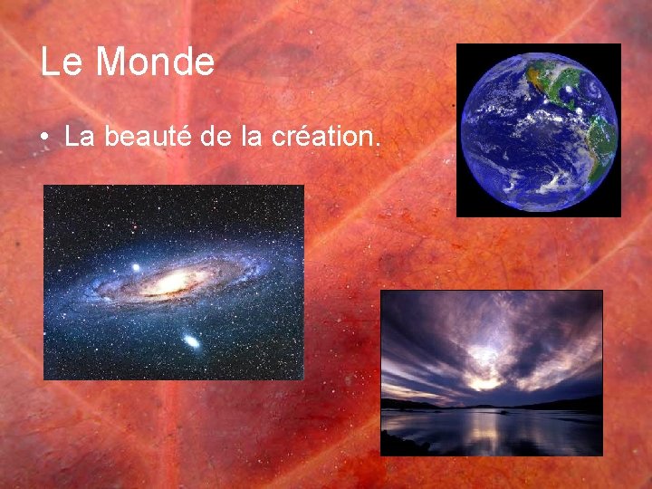 Le Monde • La beauté de la création. 