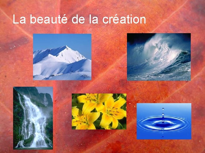 La beauté de la création 