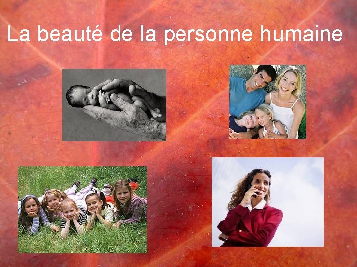 La beauté de la personne humaine 