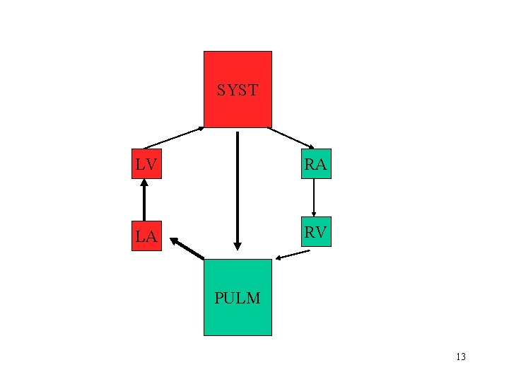 SYST LV RA LA RV PULM 13 