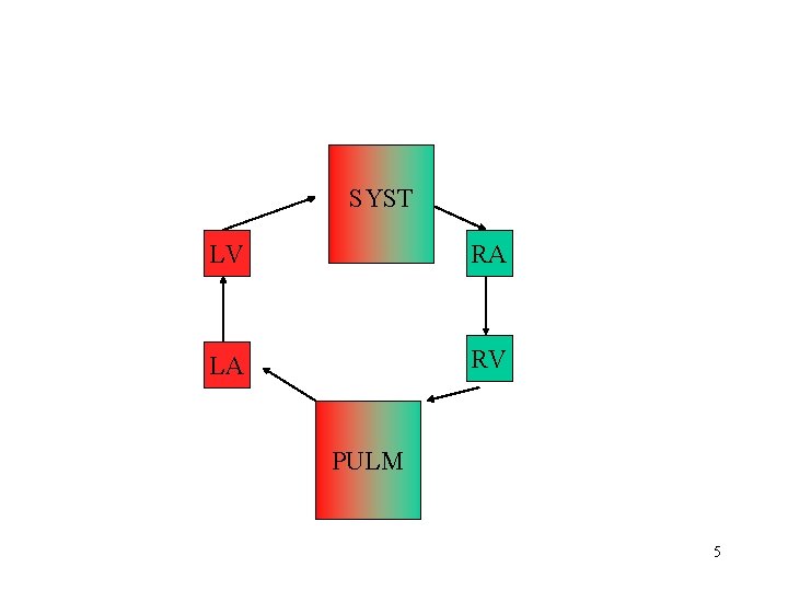 SYST LV RA LA RV PULM 5 