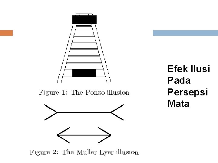 Efek Ilusi Pada Persepsi Mata 