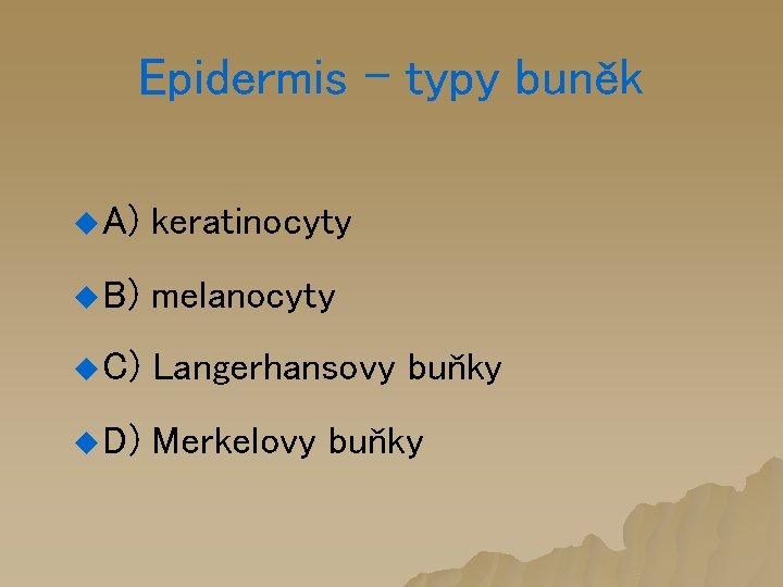 Epidermis – typy buněk u A) keratinocyty u B) melanocyty u C) Langerhansovy buňky