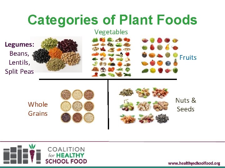 Categories of Plant Foods Vegetables Legumes: Beans, Lentils, Split Peas Whole Grains Fruits Nuts