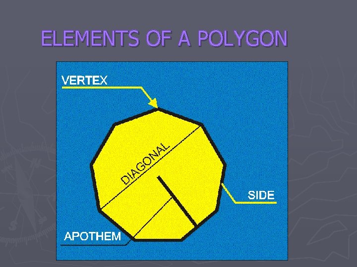 ELEMENTS OF A POLYGON 