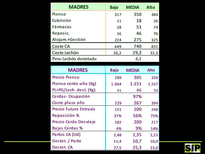 Situación económica en porcino 