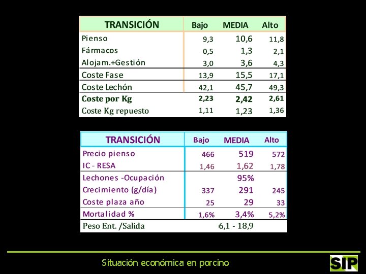 Situación económica en porcino 