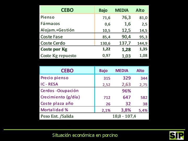 Situación económica en porcino 