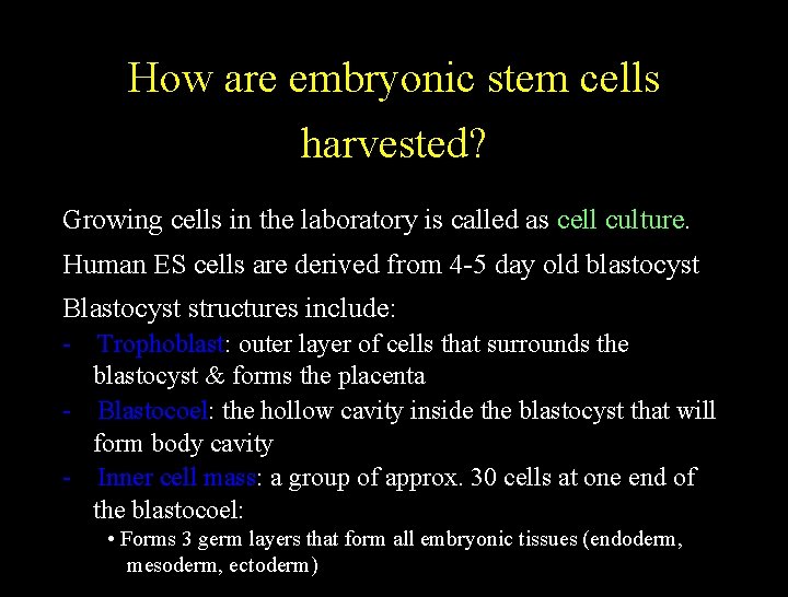 How are embryonic stem cells harvested? Growing cells in the laboratory is called as