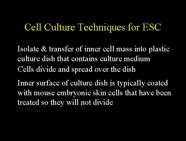 Cell Culture Techniques for ESC Isolate & transfer of inner cell mass into plastic