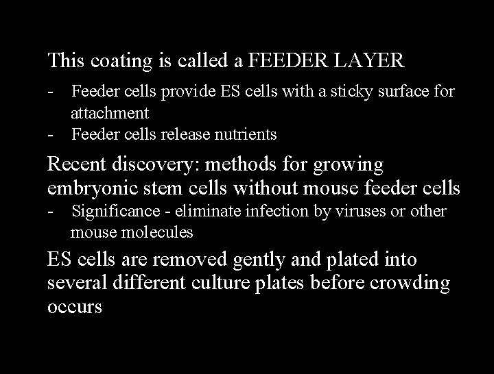 This coating is called a FEEDER LAYER - Feeder cells provide ES cells with